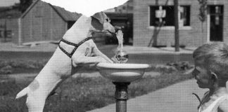 10 foto historike që të ngrohin zemrën