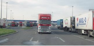 SHIFRAT/ Rritje rekord e eksporteve shqiptare drejt botës