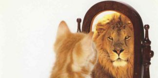 4 mënyra si të rrisni vetëbesimin