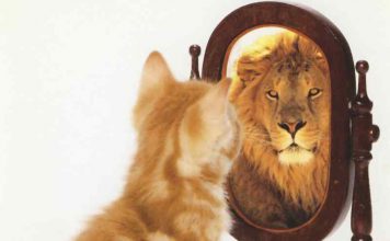 Ja mund të rrisni vetëbesimin në punë