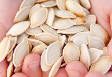 Përfitimet shëndetësore që vijnë nga konsumimi i farave të kungullit