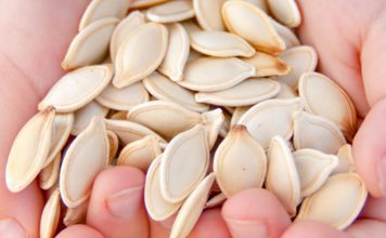 Përfitimet shëndetësore që vijnë nga konsumimi i farave të kungullit