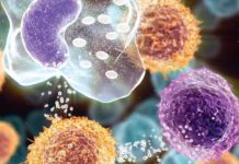 Virusi HIV mund të bllokohet përmes një proteine ”inteligjente”