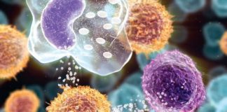 Virusi HIV mund të bllokohet përmes një proteine ”inteligjente”