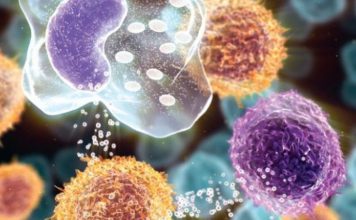 Virusi HIV mund të bllokohet përmes një proteine ”inteligjente”