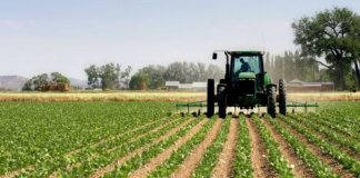 Lajmi i mirë, nga 1 janari zero TVSH për inputet bujqësore