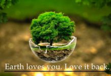 Dita Ndërkombëtare e Tokës: Si mund t’i vijmë në ndihmë Tokës