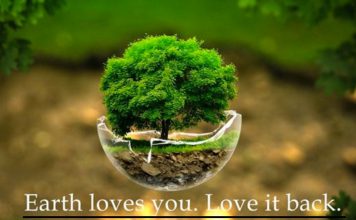 Dita Ndërkombëtare e Tokës: Si mund t’i vijmë në ndihmë Tokës