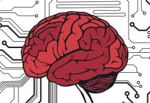 Ja sa është truri ynë në Gigabajt