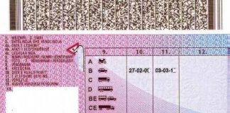 Gjermania shumë shpejt do të njohë patentat shqiptare