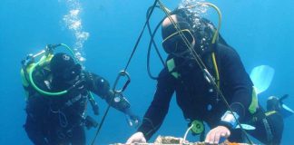 Perla nënujore shqiptare në National Geographic