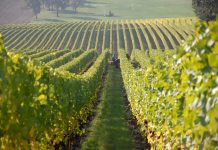 ‘The Guardian’, artikull për verën shqiptare