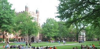 Ja si mund të përfitoni nga mundësia për studime në ShBA