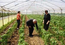 Miratohet udhëzimi për ndryshimin e kompensimeve të fermerëve