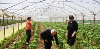 Miratohet udhëzimi për ndryshimin e kompensimeve të fermerëve