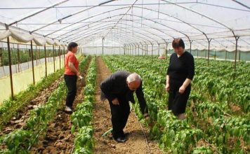 Ja si fermerët mund të aplikojnë online për subvencionet