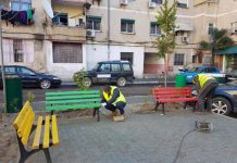 Stola shumëngjyrësh në lulishtet e ”Don Boskos”