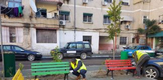 Stola shumëngjyrësh në lulishtet e ”Don Boskos”