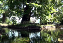 Bysheku, 4 km larg Elbasanit, një nga zonat turistike më të frekuentuara të zonës