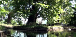 Bysheku, 4 km larg Elbasanit, një nga zonat turistike më të frekuentuara të zonës