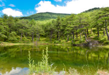 Gjinari si destinacion për turizmin malor dhe agroturizmin