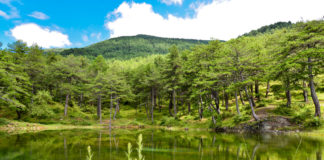 Gjinari si destinacion për turizmin malor dhe agroturizmin