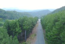 Është çelur thirrja e dytë për aplikime në skemën e granteve për mbrojtjen e pyjeve