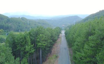 Është çelur thirrja e dytë për aplikime në skemën e granteve për mbrojtjen e pyjeve