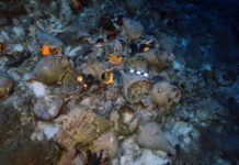 The Times: Arkeologjia nënujore, thesari i pashfrytëzuar i Shqipërisë