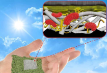 Ekologjike, në të ardhmen do kemi bateri prej letre