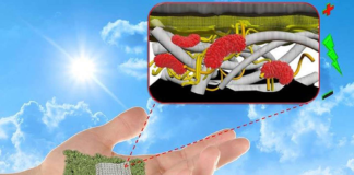 Ekologjike, në të ardhmen do kemi bateri prej letre