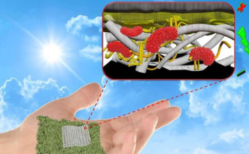 Ekologjike, në të ardhmen do kemi bateri prej letre