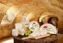 Histori suksesi, braktisën emigracionin për të nisur biznesin në Shqipëri