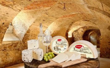 Histori suksesi, braktisën emigracionin për të nisur biznesin në Shqipëri