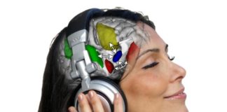 12 fakte për muzikën në raport me trurin