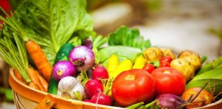 Foto: Dieta ushqimore pas pushimeve verore