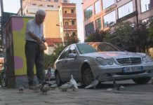 I moshuari që jeton mes muzikës dhe shpendëve