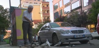 I moshuari që jeton mes muzikës dhe shpendëve