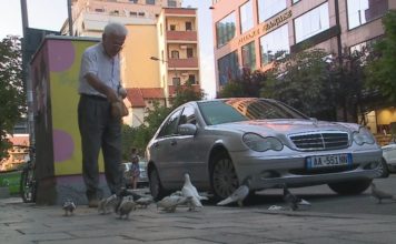 I moshuari që jeton mes muzikës dhe shpendëve