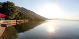 Liqeni i Shkodrës, zonë pilot për zhvillimin e ekosistemeve