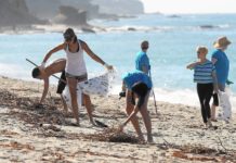 Durrës, turistët e huaj pastrojnë plazhin