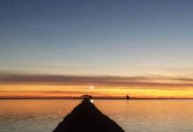 Zbulohen rrënojat e një vendbanimi të lashtë në Divjakë