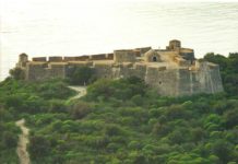 Sitet arkeologjike Vlorë, hyrje falas për vizitorët