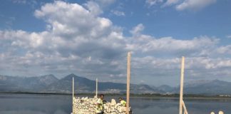 Vijon rikonstruksioni i sheshit qendror të Shirokës