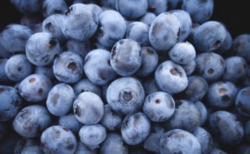 Boronicat, efektet e shumëfishta për shëndetin tonë