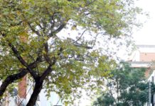 Kur të kaloni nga Liceu Artisik do të shikoni ndryshime