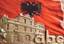 Lajmi i mirë/ Gjuha shqipe futet si lëndë me zgjedhje në shkollat 8-vjeçare në Turqi