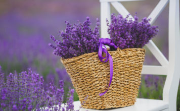 7 bimët “qetësuese” që duhet të mbahen në shtëpi