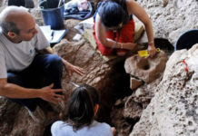 Si prodhohej birra para 13 mijë viteve, zbulohet punishtja më e vjetër në botë