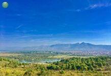 Kurora e gjelbër e Shkodrës, pyllëzohet Ballkoni i Bunës